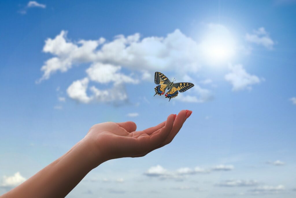 Eine Hand lässt einen schwarz-gelben Schmetterling fliegen. Dahinter ist blauer Himmel mit weißen Wolken. Dankbar sein, dass der Wunsch sich erfüllt.